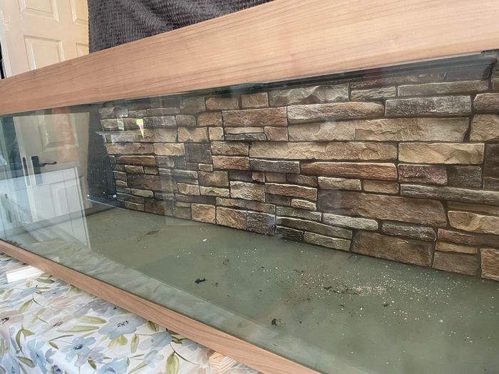 Large 5ft Eheim fish tank
