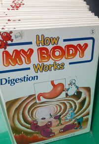 How My Body Works