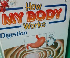 How My Body Works