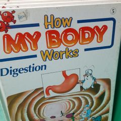 How My Body Works
