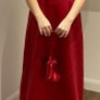 Debs and Bridesmaids dresses (New) Image 7
