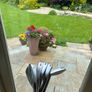 Callaway apex pro 21 irons. ( great condition) Image 4