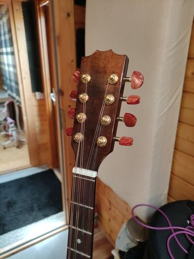 Irish Bouzouki with pickup +2 sets of bouzouki strings