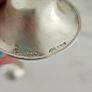 Silverette nipple shields Image 3
