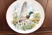 China decorative Mallard Duck Picture plate