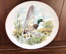 China decorative Mallard Duck Picture plate