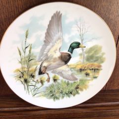 China decorative Mallard Duck Picture plate
