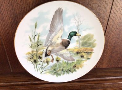 China decorative Mallard Duck Picture plate