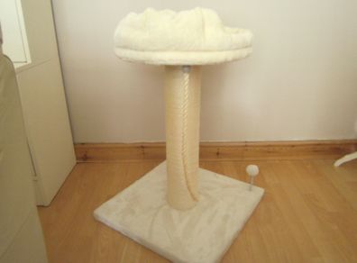 Cat Hut,