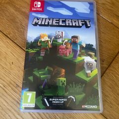 Nintendo Mincraft
