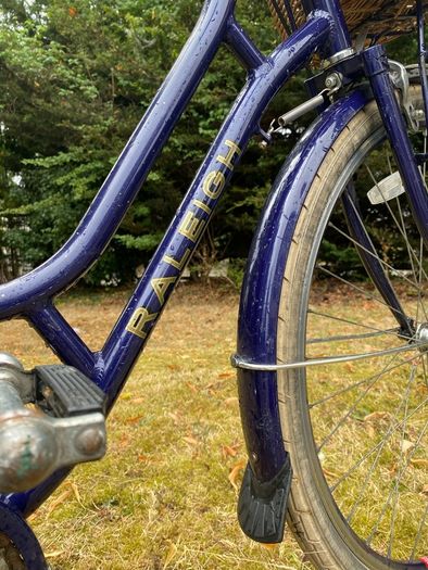 Raleigh Willow Women's Dutch Bike