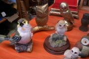 Owl collection