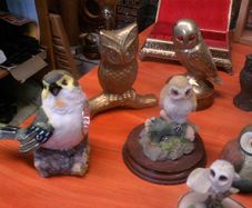 Owl collection