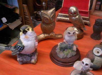 Owl collection