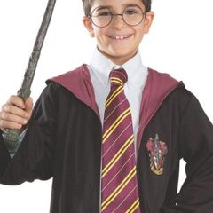 Harry Potter Costume