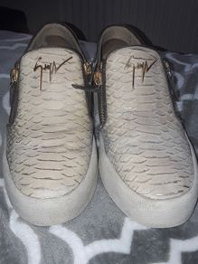 Giuseppe  zanotti