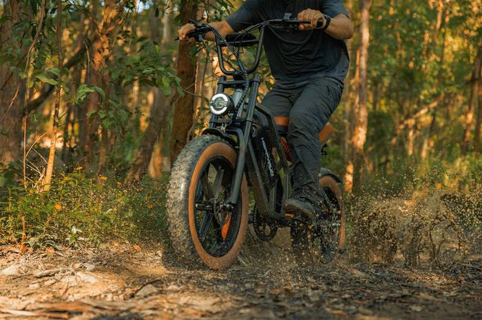 Happyrun Tank G60 Electric Motor CARGO Bike