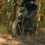 Happyrun Tank G60 Electric Motor CARGO Bike Image 7