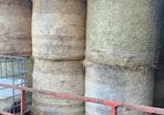 Hay Round Bales