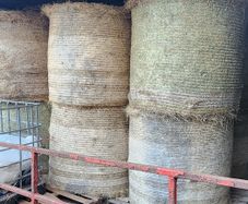 Hay Round Bales