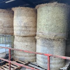 Hay Round Bales