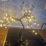 Cherry Blossom Tree Light Image 4