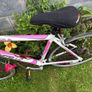 Castello Ladies Bike Image 5