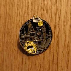 Classy Badge - School of Witchcraft and Wizardry - nice gift