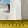 This is a framed photograph titled "Icelandic Horses" featuring Icelandic ponies in a snowy landscape. Image 2