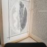 Derry and Enniskillen in the Year 1689: The Story of Some Battle-Fields in Ulster by Thomas Witherow (GT810) Image 8