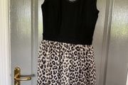 ladies dress