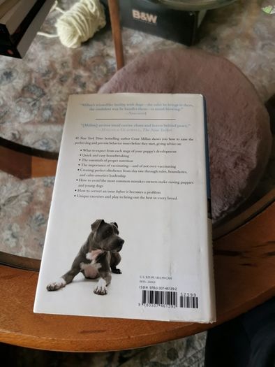How to raise the perfect dog Cedar Millan