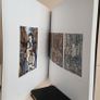 Markey Robinson: Maverick Spirit by Michael Mulreany (PT902) Image 4