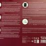 11 Days Of Radiance 111SKIN Luxury Skin Care Brand New Image 8