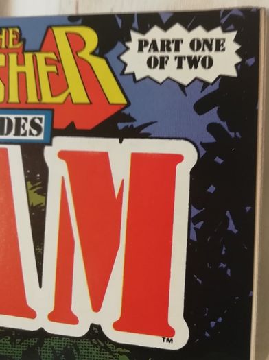 The Punisher Invades THE 'NAM #52