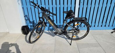 Electric bike