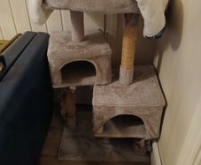 free cat tree
