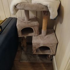 free cat tree