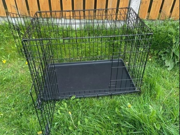 dog crate
