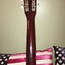 USA Harmony Acoustic Image 10