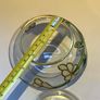 Vintage Paul Nagel Tiffany Style Glass Lidded Jar Image 7