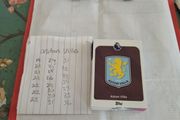 Aston Villa Topps Premier league cards