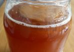 Kombucha Scoby