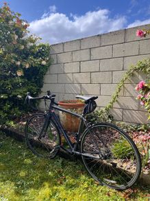 Genesis road bike