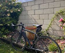 Genesis road bike