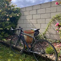 Genesis road bike