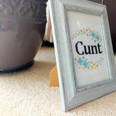Framed cross-stitch