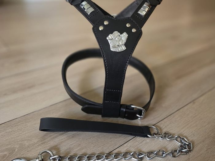 dog leather harness with free chain lead