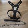 dog leather harness with free chain lead Image 4