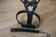 dog leather harness with free chain lead